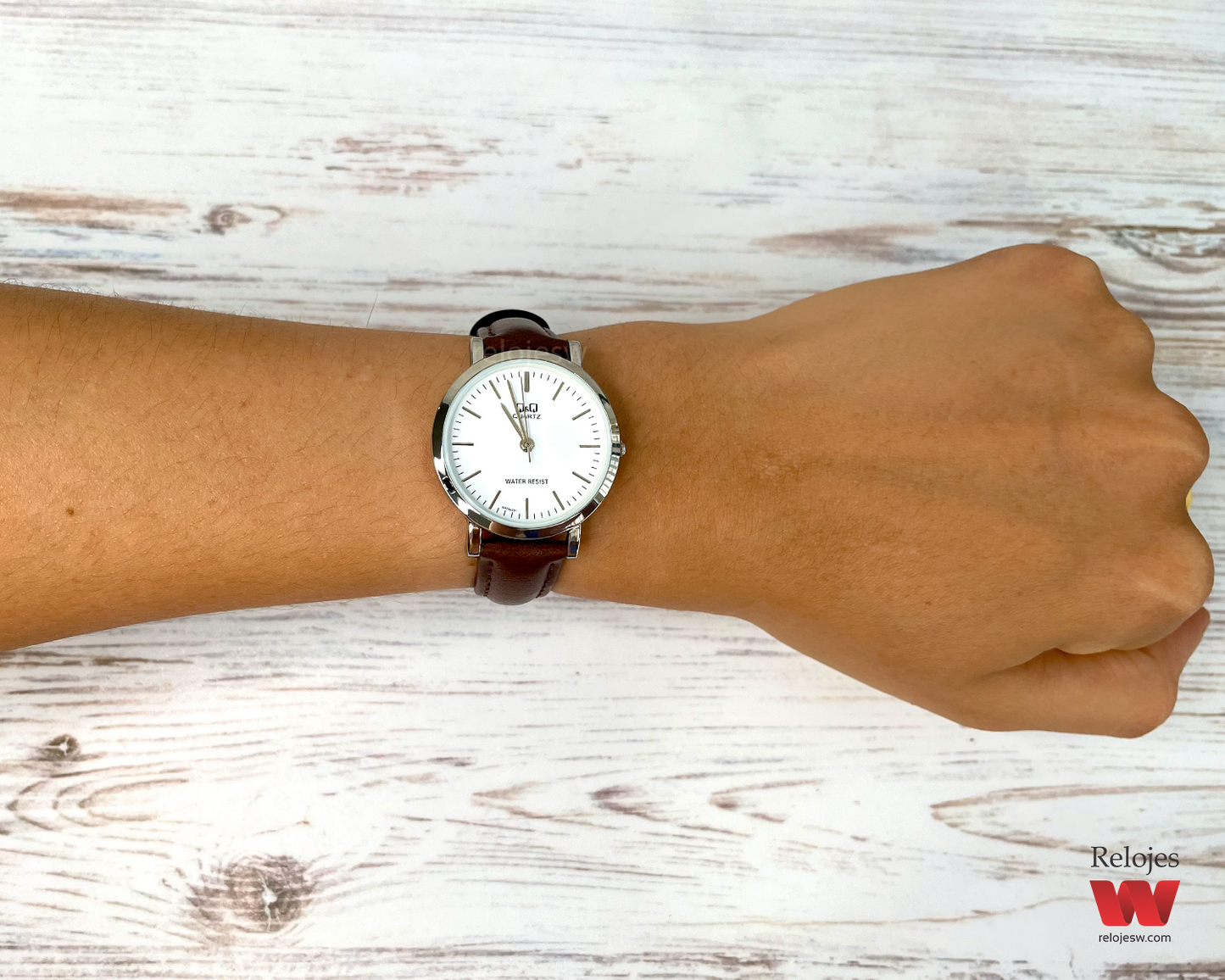 Reloj Q&Q Mujer Q979J301Y Marrón Plateado